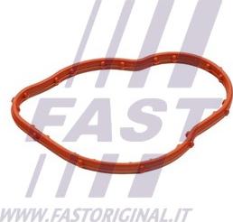 Fast FT58305 - Guarnizione, Termostato autozon.pro