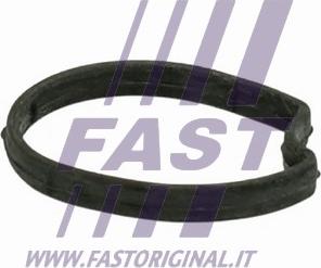 Fast FT58301 - Guarnizione, Alloggiam. termostato autozon.pro