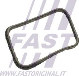 Fast FT58302 - Guarnizione, Termostato autozon.pro