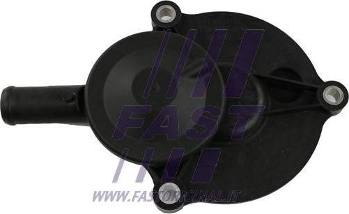 Fast FT60003 - Valvola, Ventilazione carter autozon.pro