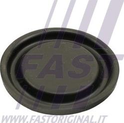 Fast FT60102 - Membrana, Ventilazione monoblocco autozon.pro