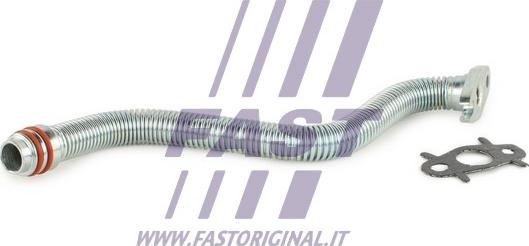 Fast FT61319 - Flessibile olio autozon.pro