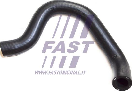 Fast FT61310 - Flessibile olio autozon.pro