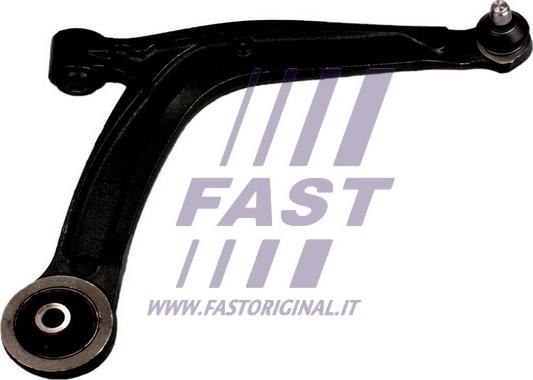 Fast FT15146 - Braccio oscillante, Sospensione ruota autozon.pro