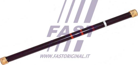 Fast FT13525 - Leva portante, Barra torsione autozon.pro