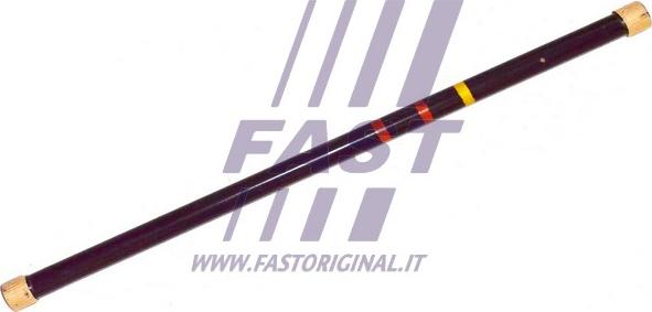 Fast FT13528 - Leva portante, Barra torsione autozon.pro