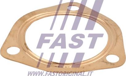 Fast FT84590 - Guarnizione, Tubo gas scarico autozon.pro