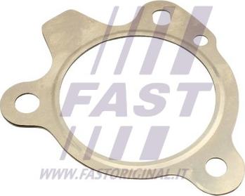 Fast FT84509 - Guarnizione, Tubo gas scarico autozon.pro