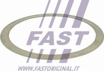 Fast FT84501 - Guarnizione, Tubo gas scarico autozon.pro