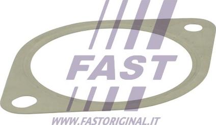 Fast FT84809 - Guarnizione, Tubo gas scarico autozon.pro