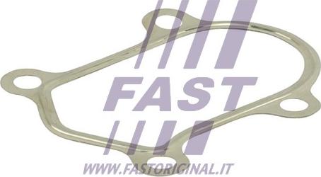 Fast FT84803 - Guarnizione, Tubo gas scarico autozon.pro