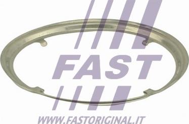 Fast FT84817 - Guarnizione, Tubo gas scarico autozon.pro