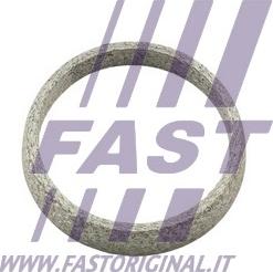 Fast FT84823 - Guarnizione, Tubo gas scarico autozon.pro