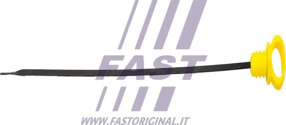 Fast FT80305 - Asta controllo livello olio autozon.pro