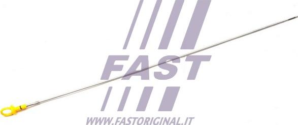 Fast FT80300 - Asta controllo livello olio autozon.pro