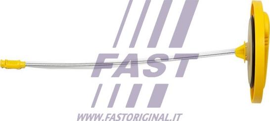 Fast FT80302 - Asta controllo livello olio autozon.pro