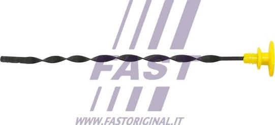 Fast FT80307 - Asta controllo livello olio autozon.pro