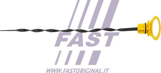 Fast FT80310 - Asta controllo livello olio autozon.pro