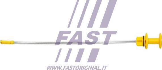 Fast FT80318 - Asta controllo livello olio autozon.pro