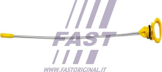 Fast FT80317 - Asta controllo livello olio autozon.pro