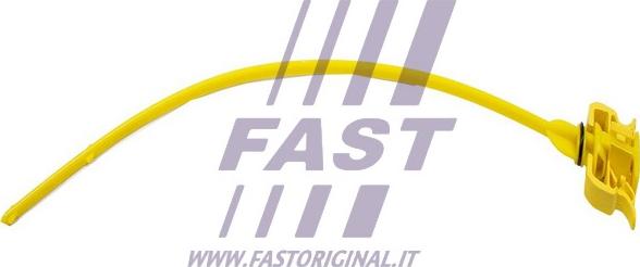 Fast FT80330 - Asta controllo livello olio autozon.pro