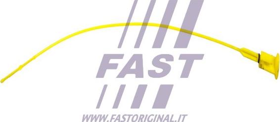 Fast FT80329 - Asta controllo livello olio autozon.pro