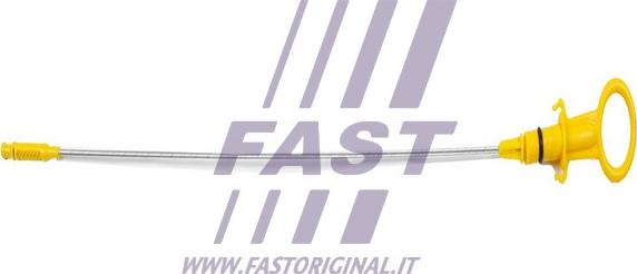 Fast FT80325 - Asta controllo livello olio autozon.pro