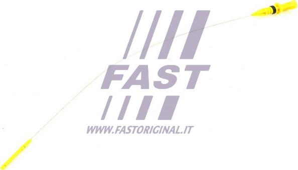 Fast FT80320 - Asta controllo livello olio autozon.pro