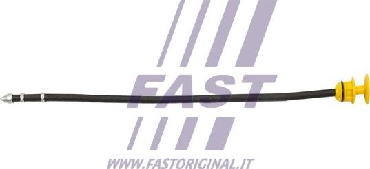 Fast FT80321 - Asta controllo livello olio autozon.pro