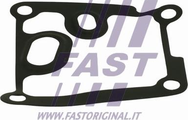 Fast FT38801 - Guarnizione, Radiatore olio autozon.pro