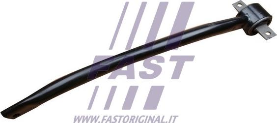 Fast FT20163 - Braccio oscillante, Sospensione ruota autozon.pro