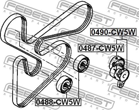 Febest 0487-CW5W - Galoppino / Guidacinghia, Cinghia Poly-V autozon.pro