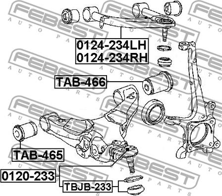 Febest 0124-234LH - Braccio oscillante, Sospensione ruota autozon.pro