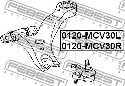 Febest 0120-MCV30R - Giunto di supporto / guida autozon.pro