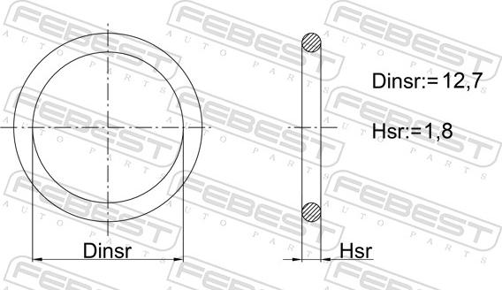 Febest 03400-004 - Paraolio, Servopompa autozon.pro