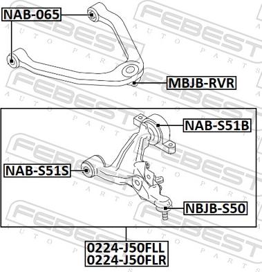 Febest 0224-J50FLR - Braccio oscillante, Sospensione ruota autozon.pro