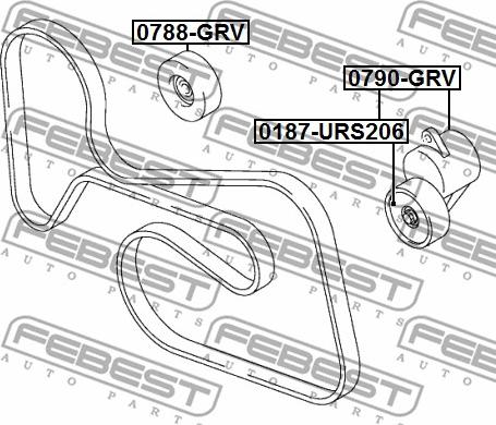 Febest 0788-GRV - Galoppino / Guidacinghia, Cinghia Poly-V autozon.pro