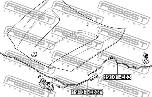 Febest 19101-E83F - Cavo comando cofano motore autozon.pro