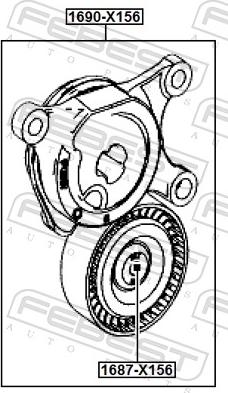 Febest 1690-X156 - Tendicinghia, Cinghia Poly-V autozon.pro