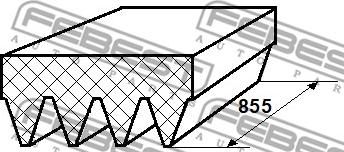 Febest 88126-4L855 - Cinghia Poly-V autozon.pro