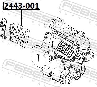 Febest 2443-001 - Filtro, Aria abitacolo autozon.pro