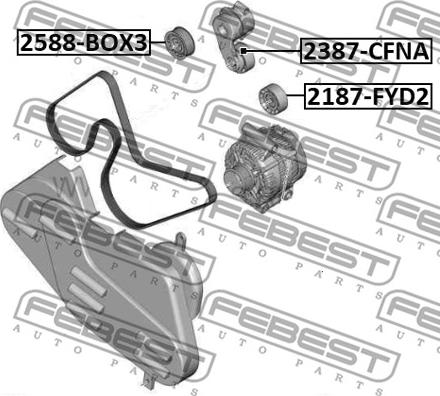 Febest 2588-BOX3 - Galoppino / Guidacinghia, Cinghia Poly-V autozon.pro