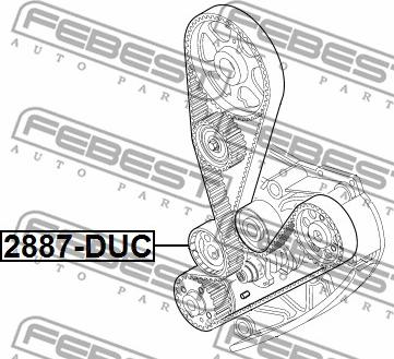 Febest 2890-DUC - Rullo tenditore, Cinghia dentata autozon.pro