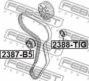 Febest 2388-TIG - Galoppino / Guidacinghia, Cinghia Poly-V autozon.pro