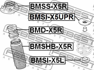 Febest BMSI-X5UPR - Piattello reggimolla autozon.pro