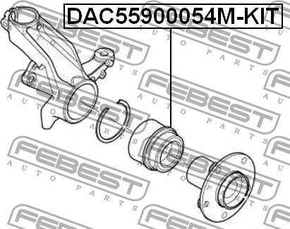 Febest DAC55900054M-KIT - Kit cuscinetto ruota autozon.pro