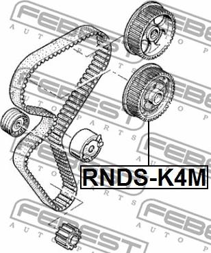 Febest RNDS-K4M - Regolatore albero a camme autozon.pro