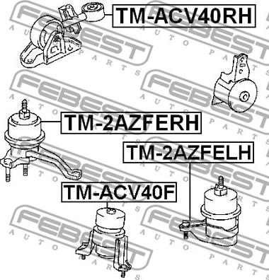 Febest TM-ACV40F - Sospensione, Motore autozon.pro