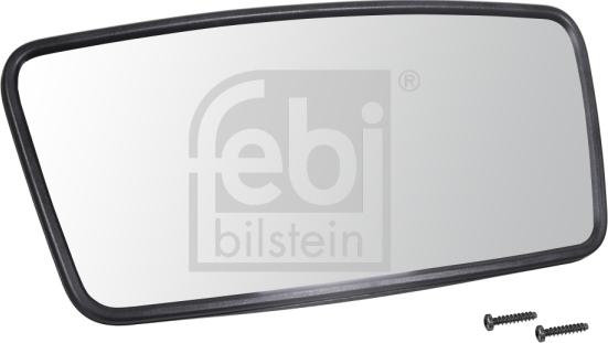 Febi Bilstein 49994 - Specchio esterno, Cabina autozon.pro