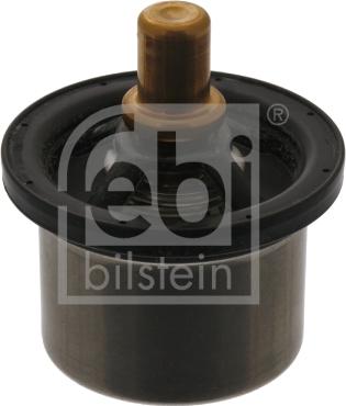 Febi Bilstein 40674 - Termostato, Refrigerante autozon.pro